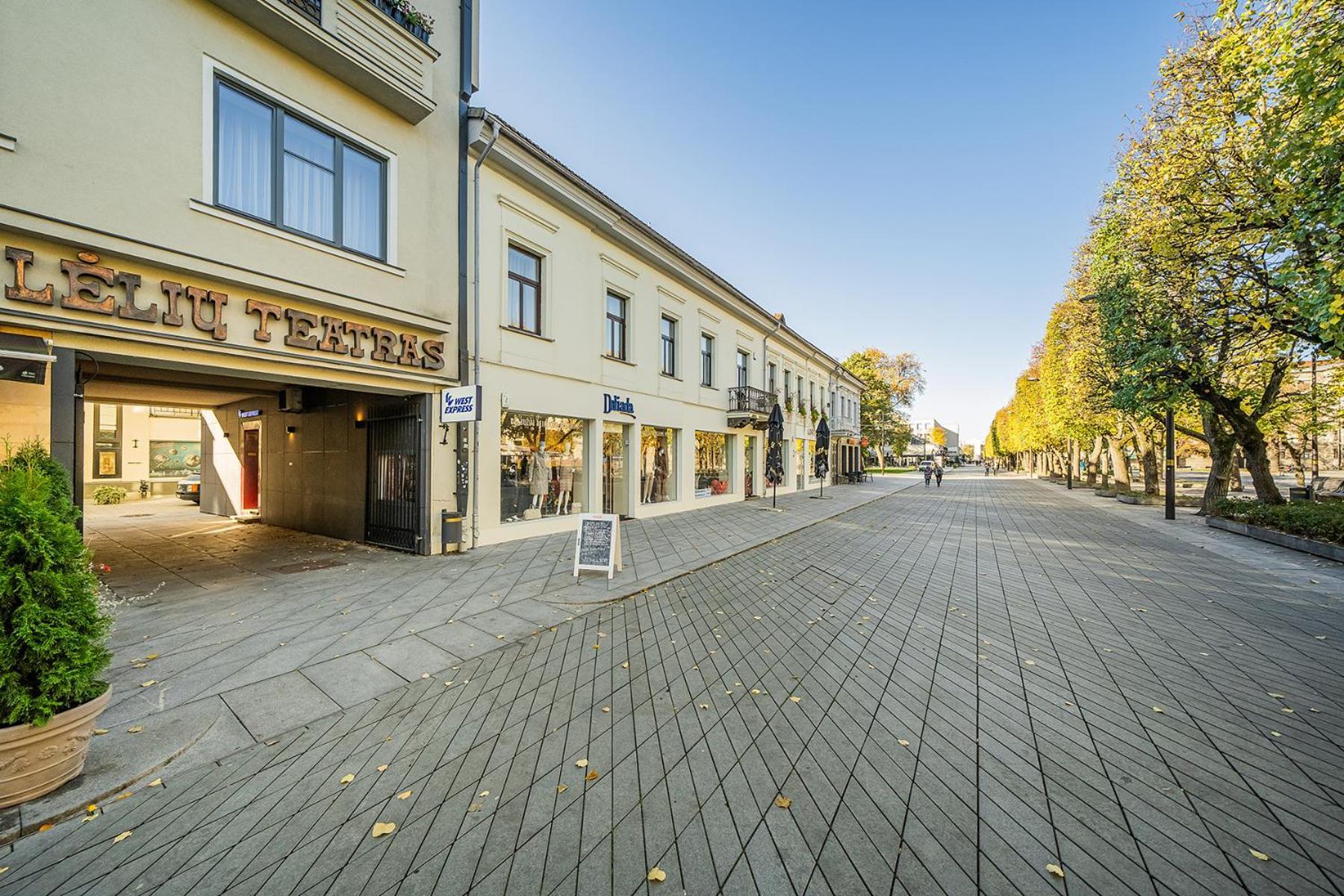 Central Park Apartments - The Luxury Collection Kaunas Buitenkant foto