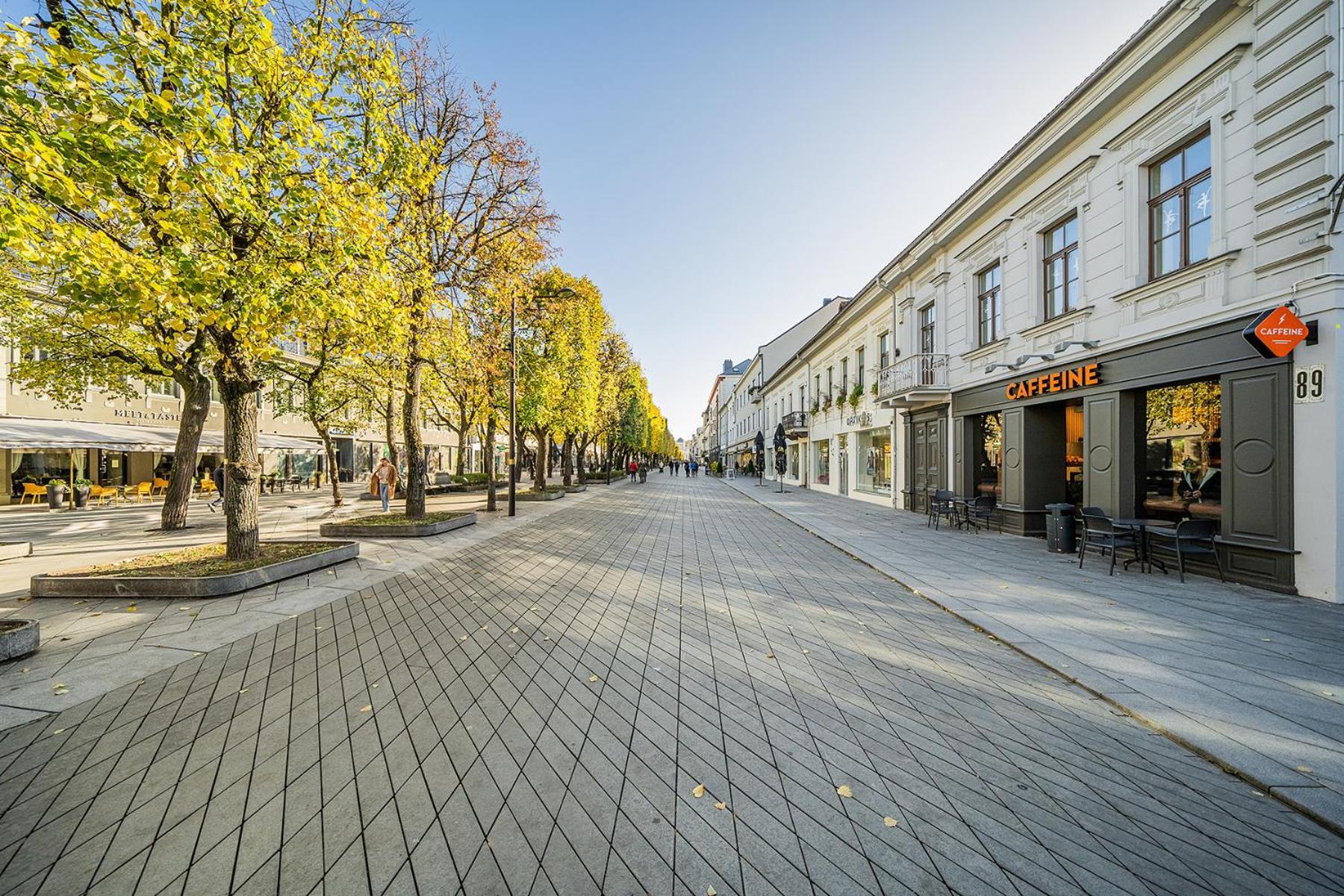 Central Park Apartments - The Luxury Collection Kaunas Buitenkant foto